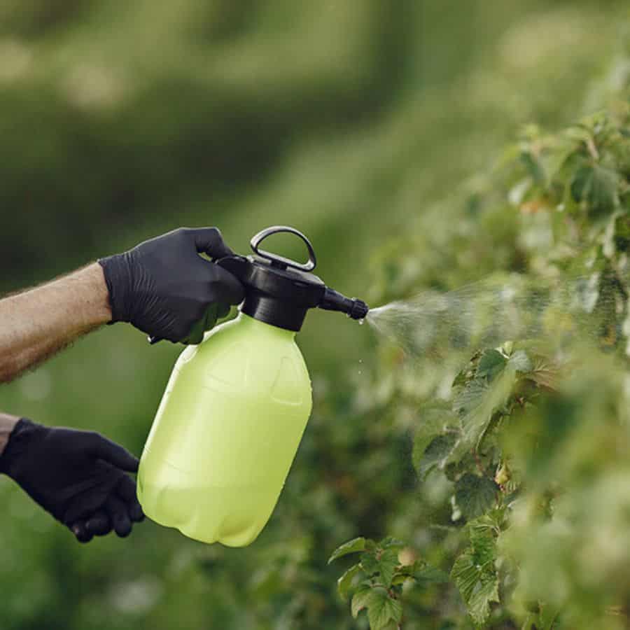 187233-ttlid-753-garden-hacks-transform-growing-game--t1