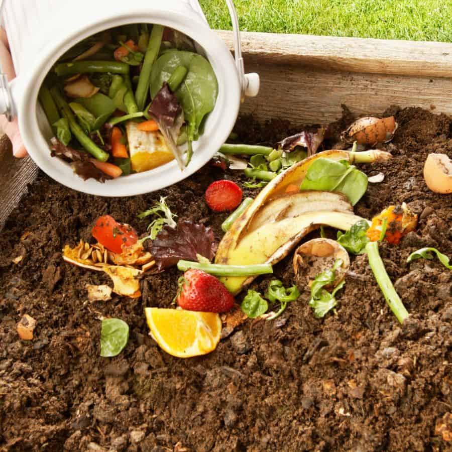 187233-ttlid-754-garden-hacks-transform-growing-game--t1